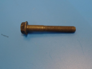Šroub hlavy Briggs Stratton 625,650,675 d=57,6mm