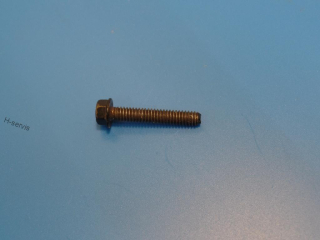 Šroub víka skříně Briggs Stratton 625,650,675 d=37,4 mm