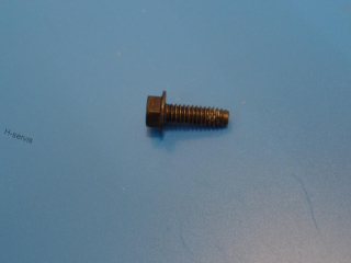 Šroub krytu Briggs Stratton 625,650,675 d=19,5 mm